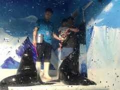 -成都浩海立方海洋公园