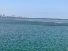 -海堤纪念公园