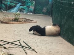 -沈阳森林动物园