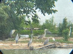-海珠湖公园