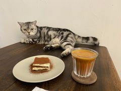 -猫友咖啡店(玉林西路店)
