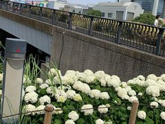 -台场海滨公园船码头