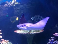 -华夏文旅海洋公园