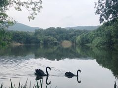 -钟山体育运动公园