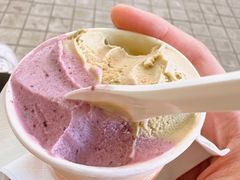 -Dip in Gelato(富民路店)