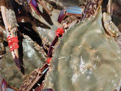 -77号渔船·蒸海鲜青岛菜(积米崖店)