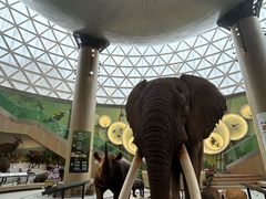 -陕西自然博物馆