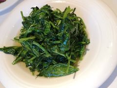 清炒豆苗-峨嵋酒家(地安门店)