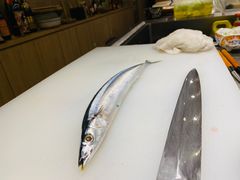 -紫· 割烹  Kappo Murasaki