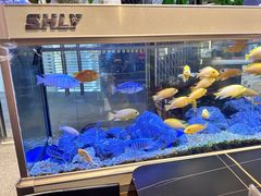 -黄鱼炙夜·烧烤·小龙虾(星荟广场店)