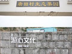 -四明山国家森林公园