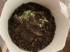 -麦当劳(惠政老街店)