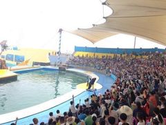 -秦皇岛乐岛海洋王国