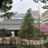 对这种庭院式餐厅无法抗拒