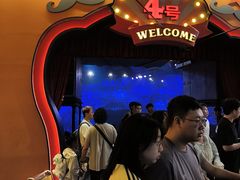 -广州长隆国际大马戏