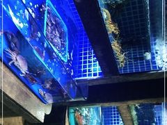-徐记海鲜(梅溪新天地店)