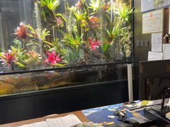 -扶摇湘宴·烤鸭·湘粤宴(中关村·北大店)