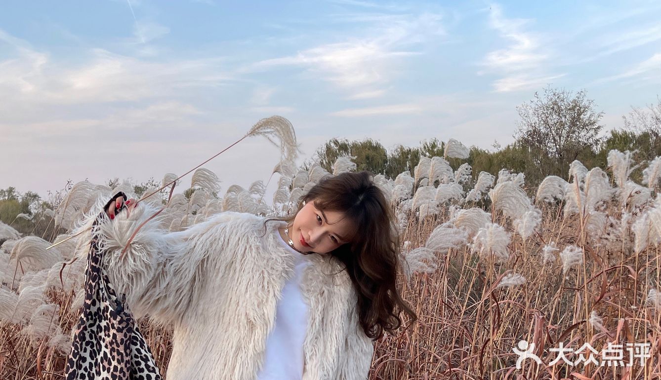 济南免费拍照圣地❗️芦苇荡拍照攻略