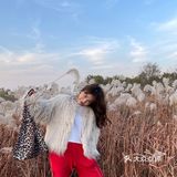 济南免费拍照圣地❗️芦苇荡拍照攻略