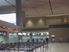 -哈尔滨太平国际机场-T2航站楼
