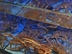 -阿伟海鲜楼·福建菜(延寿店)