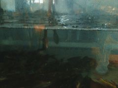 -融泽漁悦三只耳鱼火锅(南郑大道店)