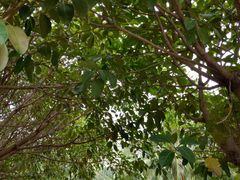 -白沙门生态公园