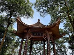 -大屏嶂森林公园