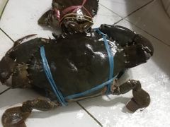 -海盗餐厅