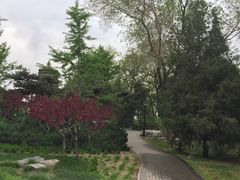 -玲珑塔公园