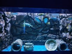 -厦门海底世界