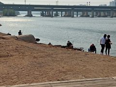 -长白岛森林公园