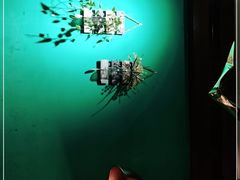 -阪尚皇·原切牛排·烤肉火锅自助(北京路店)