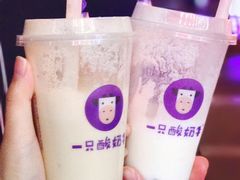 -一只酸奶牛(八一路店)
