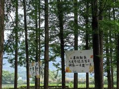 -瑶琳仙境