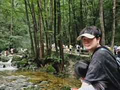 -牛背梁国家森林公园