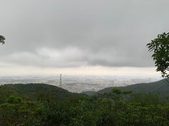 -阳台山森林公园