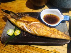 青花鱼-酒窝烧鸟(科华街店)