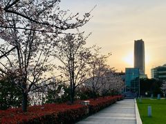 -北外滩滨江绿地