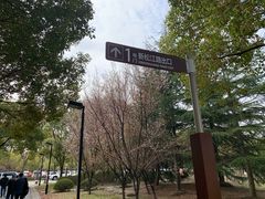 -上海市第一人民医院(松江南部)