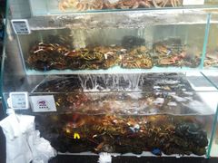 -超级物种(省府店)