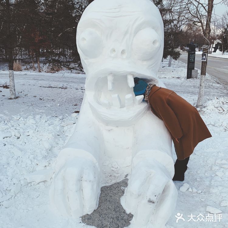 踩雪看冰雕滑个雪才是冬天正确的打开方式