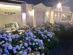 -Blue Concept Cafe&Farm·關於藍