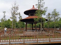 -五缘湾湿地公园