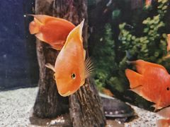 -常州海昌海洋探索馆