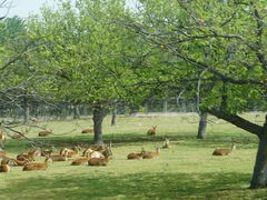 -西安秦岭野生动物园
