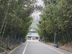 -都江堰中华大熊猫苑