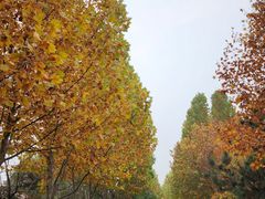 -石家庄市动物园