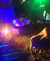 -恐龙探索乐园(磁器口店)