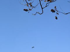 -东钱湖旅游度假区